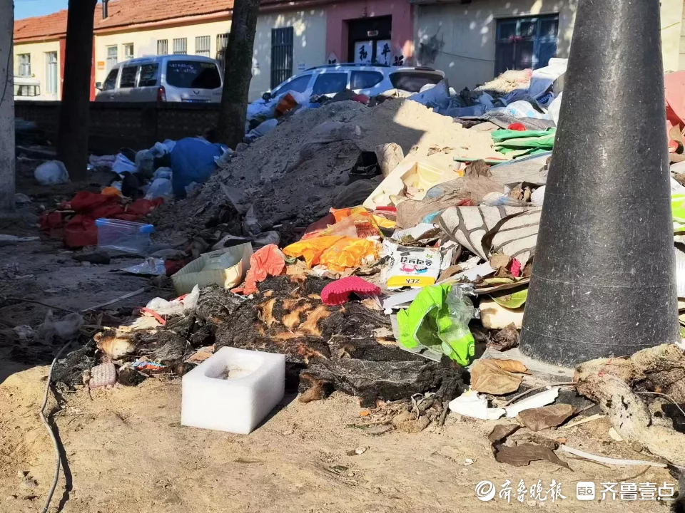 垃圾房（花坛变垃圾堆频频起火！相关负责人：将尽快清理并寻求长决方案）清理花坛垃圾的方法，清理花坛垃圾简报，(图2)